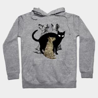 dogs and black cat Hoodie